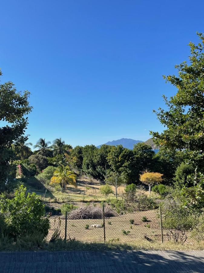 Jardin Sur Mer Terre-De-Haut Exterior foto