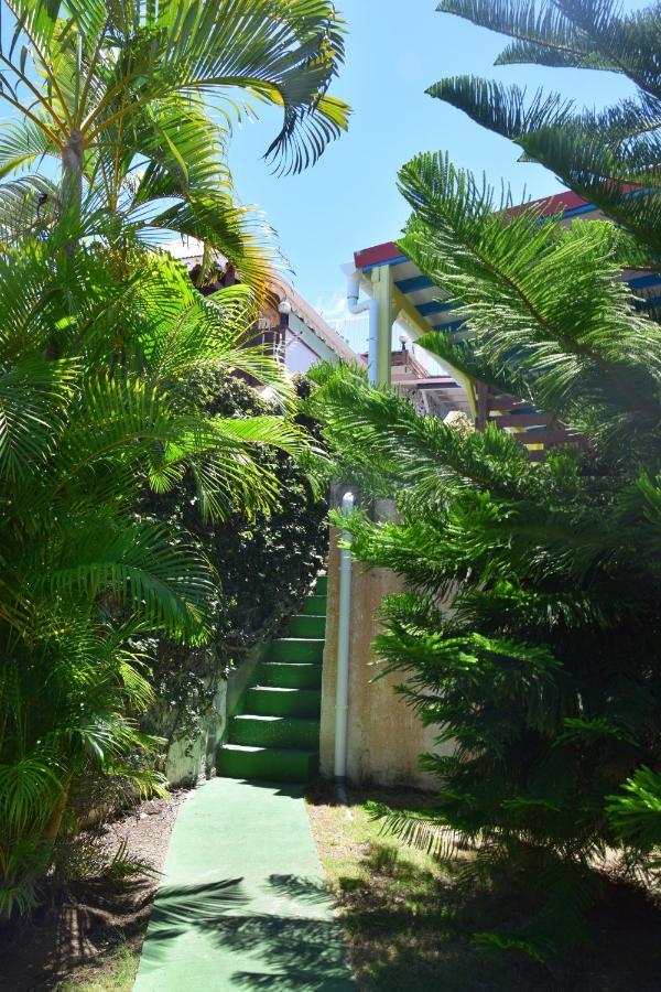 Jardin Sur Mer Terre-De-Haut Exterior foto